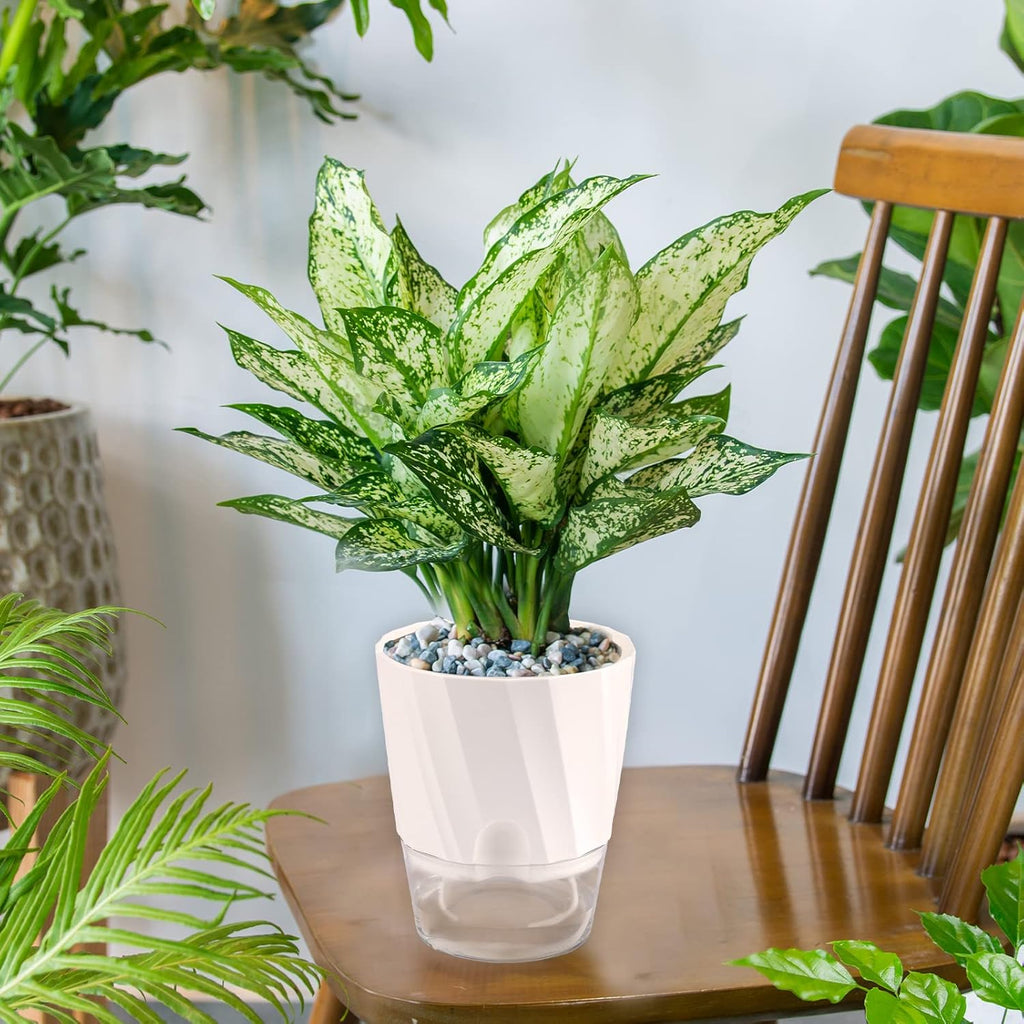 6 Pack Self Watering White Plant Pots K785950
