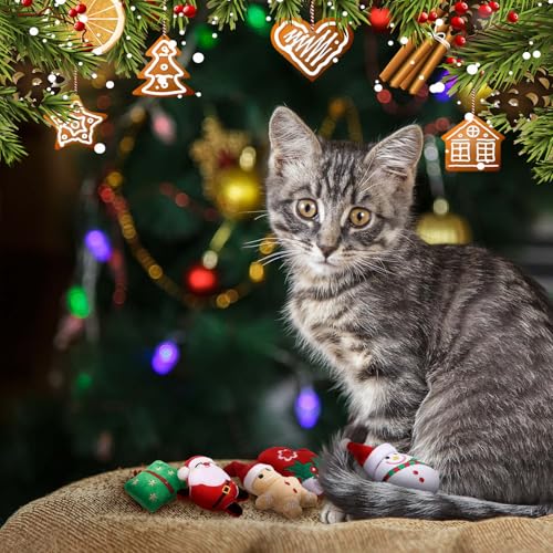 Catnip Silvervine Cat Chew Toy 12 Pcs Y229