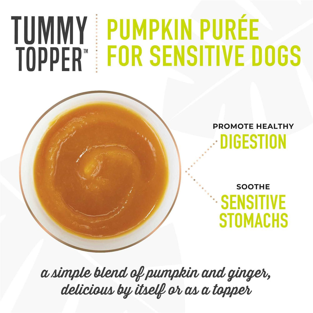 Pumpkin Ginger Dog Food Topper L1320