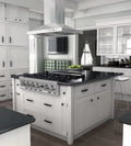 48 in. 900 CFM Stainless Steel Island Mount Range Hood A205204