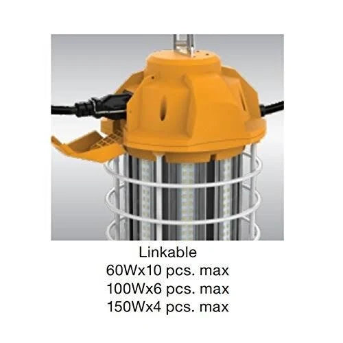 100W LED Caged Lantern B2668