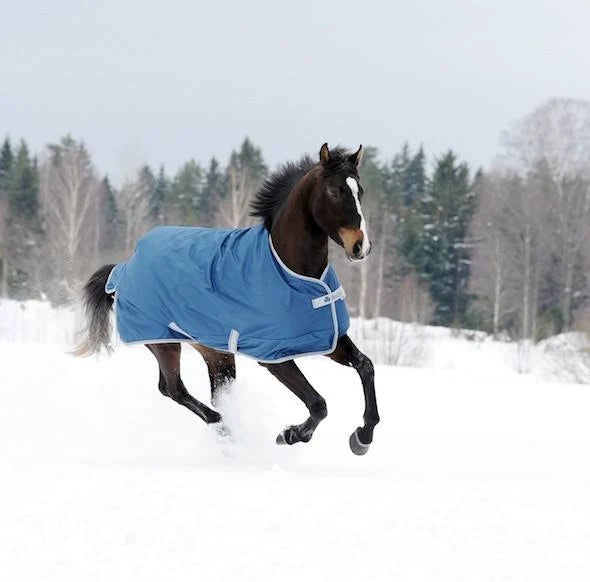 Navy Medium Turnout Blanket R72941