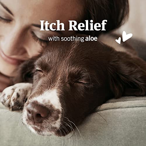 Ear Mite Treatment for Dogs, 3oz R4594