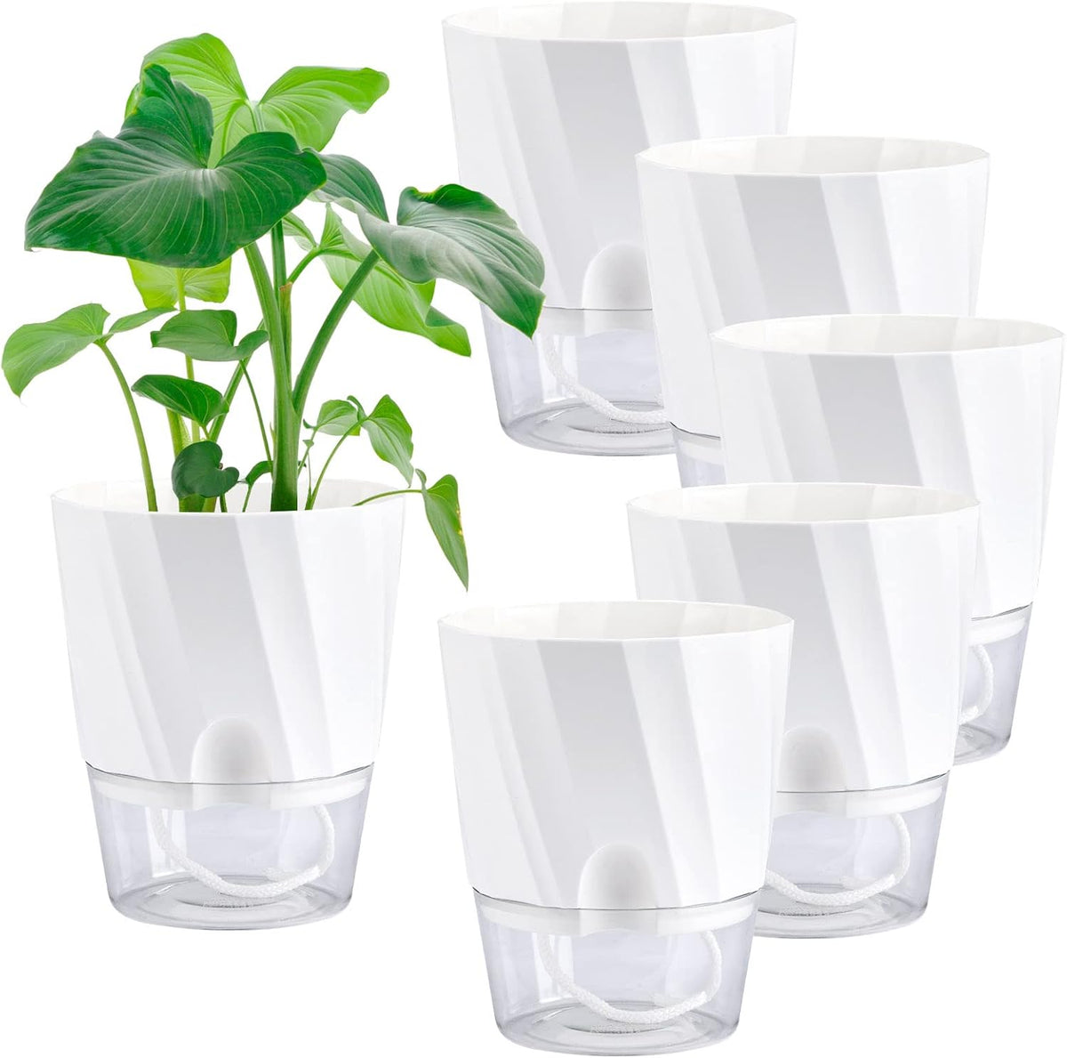 6 Pack Self Watering White Plant Pots K785950