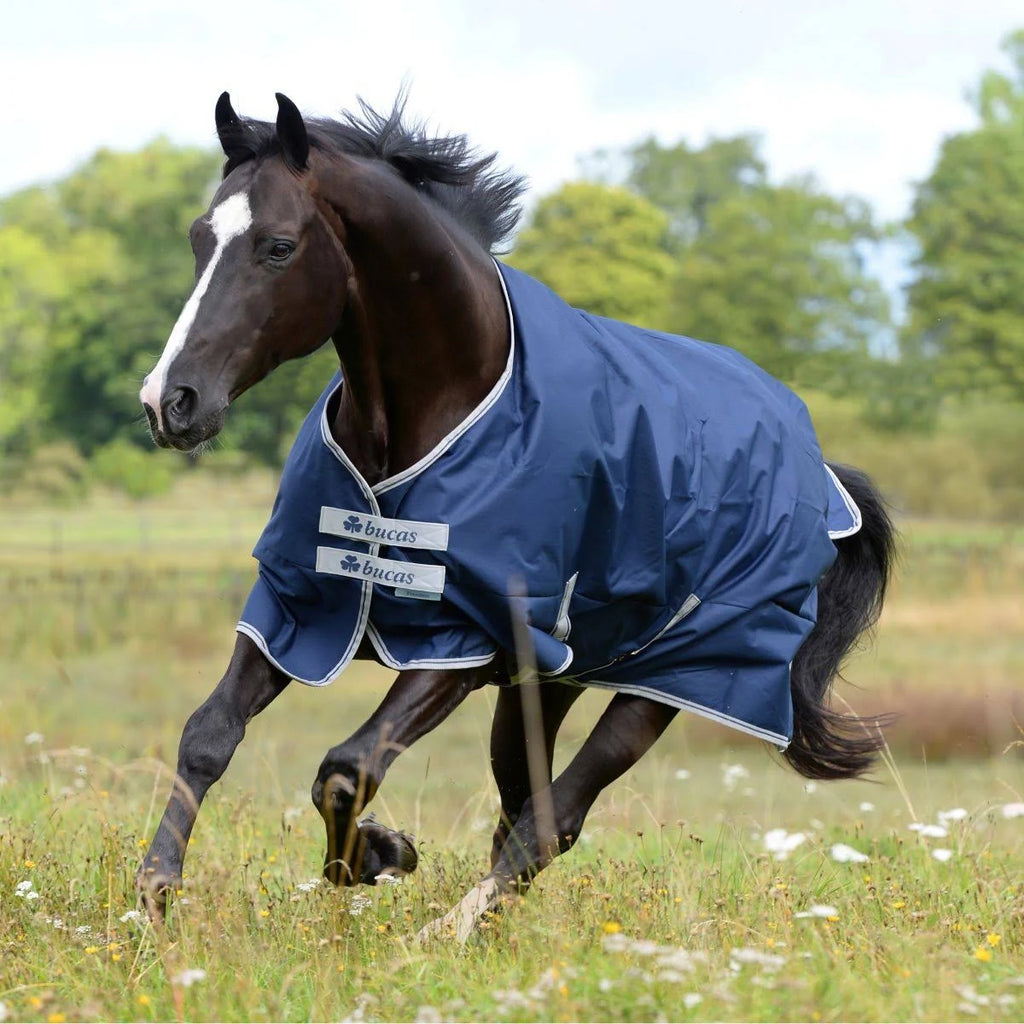 Navy Medium Turnout Blanket R72941