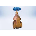 2 in. Lead Free Gate Valve D280073
