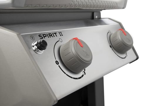 2-Burner Liquid Propane Grill, Black N466