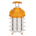 100W LED Caged Lantern B2668