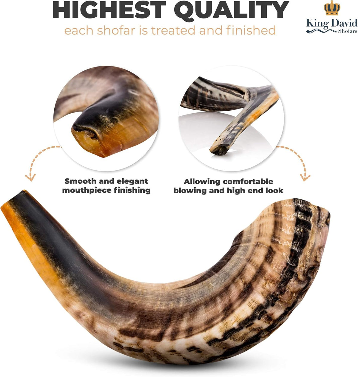Shofar Horn Instrument Pack of 2 F986361