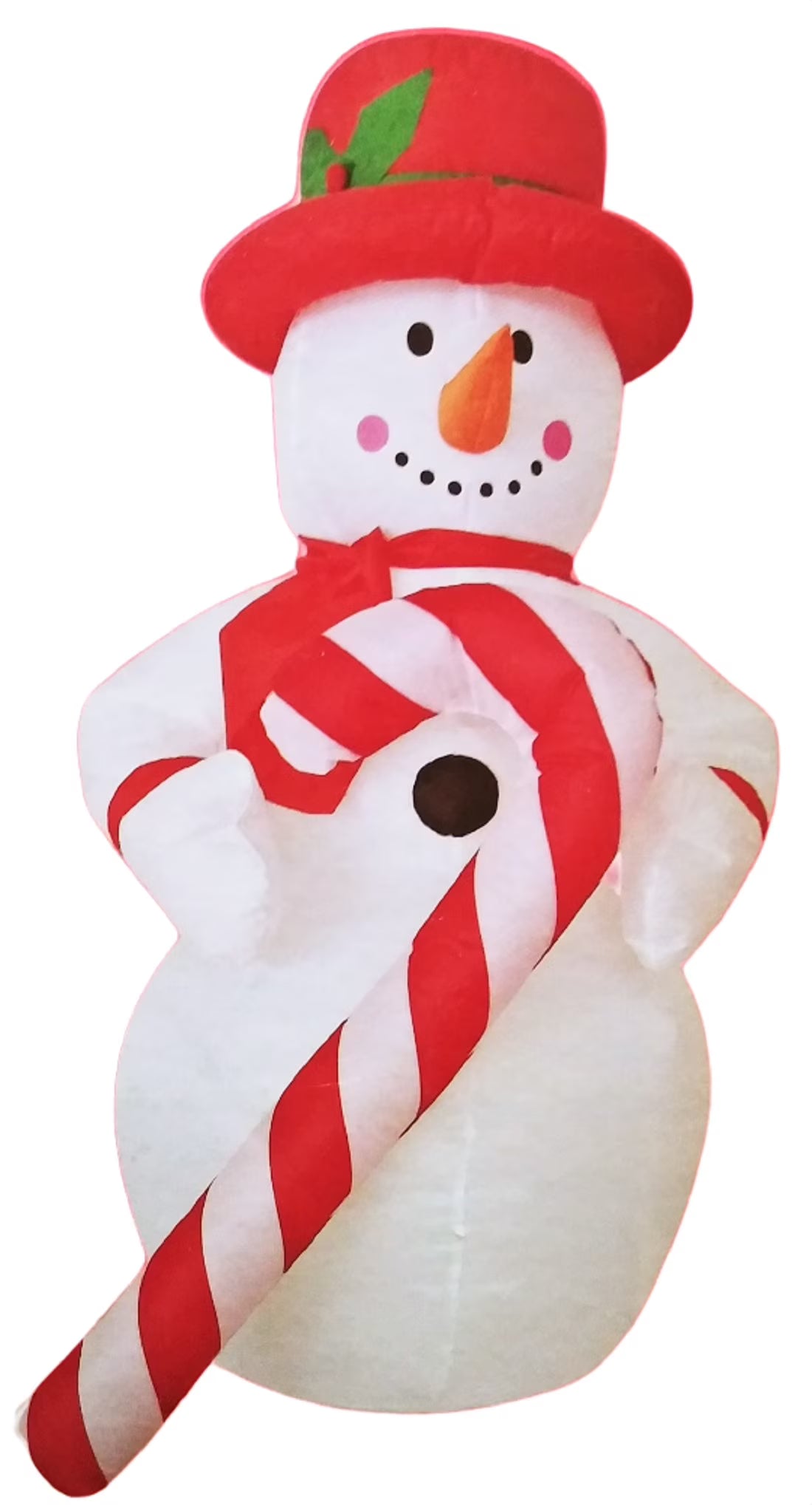 Self Inflating Illuminated Blow-Up Yard Decorations R84975