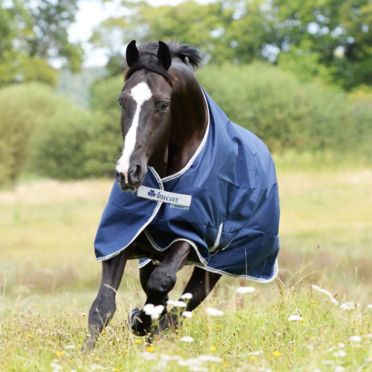 Navy 300g Turnout I64253