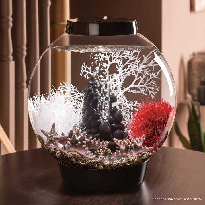 Classic 60 Aquarium with LED F3300