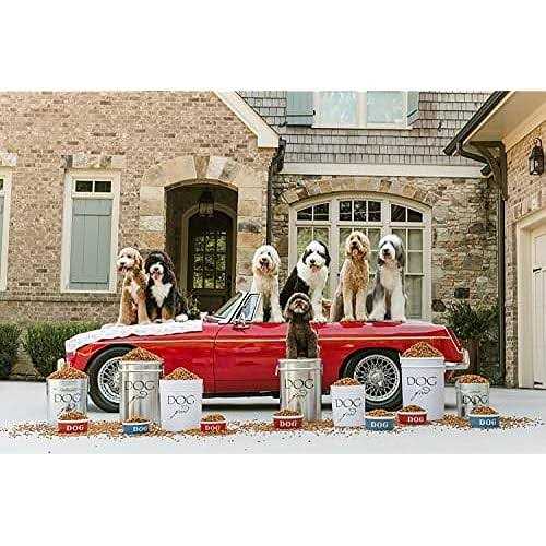 Classic Dog Food Storage Canister O8860