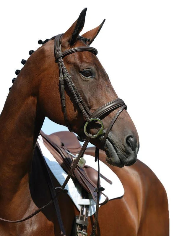 Padded Raised Figure 8 Bridle, Brown / COB N64336