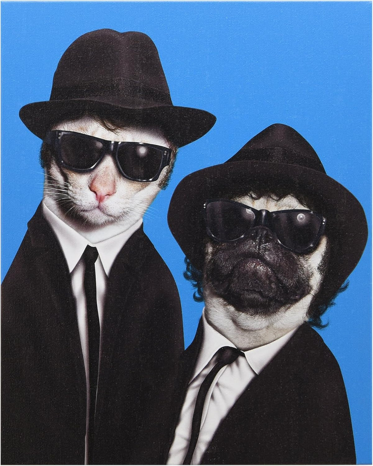 Cat Canvas Wall Art, 20 x 16 x 2 K274299