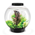 Classic 60 Aquarium with LED F3300