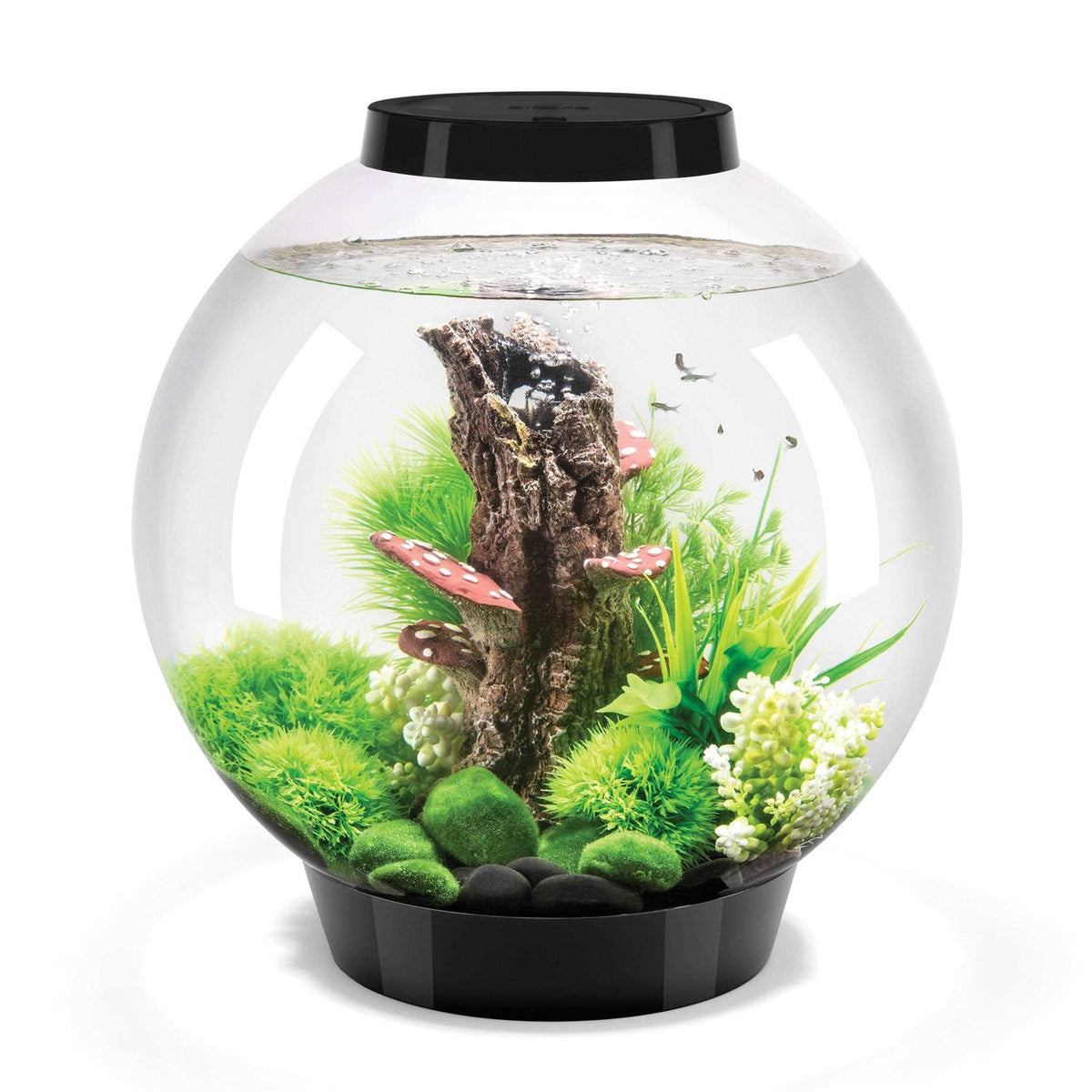 Classic 60 Aquarium with LED F3300
