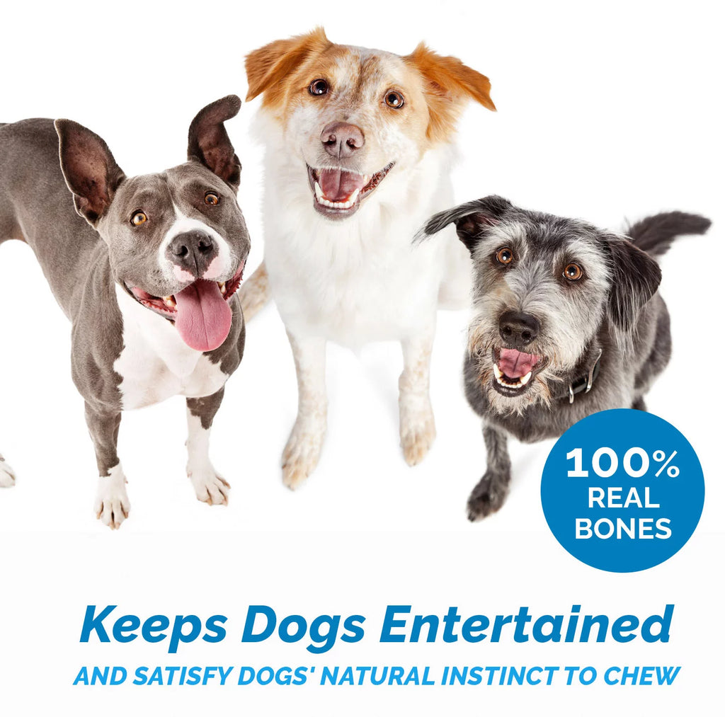 All Natural Beef Knee Caps Dog Chews 10 Count N848