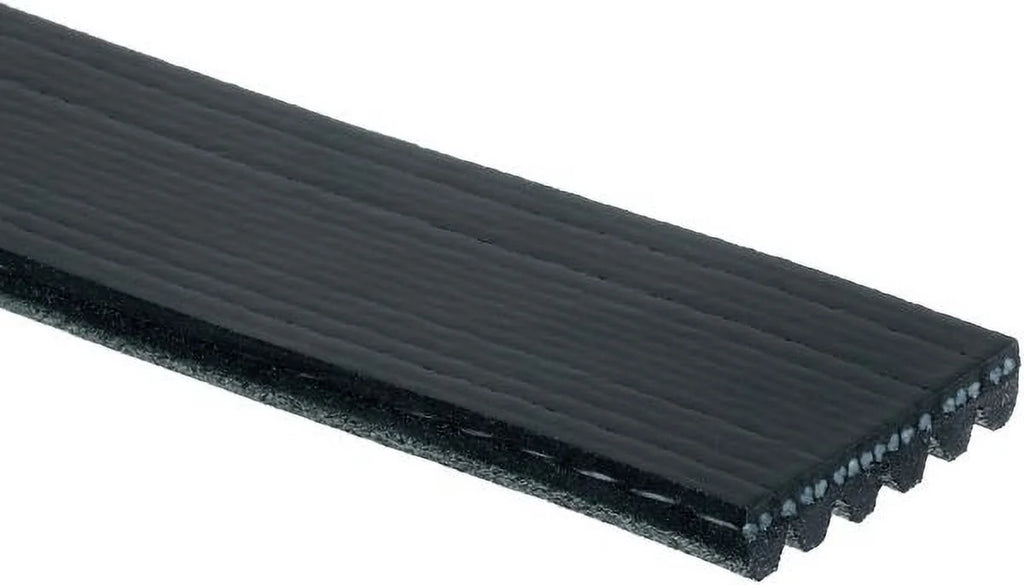 Serpentine Belt U16369