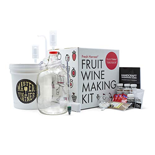 One Gallon Fruit Wine Making Kit H438