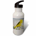 21 oz Sports Water Bottle Y51346