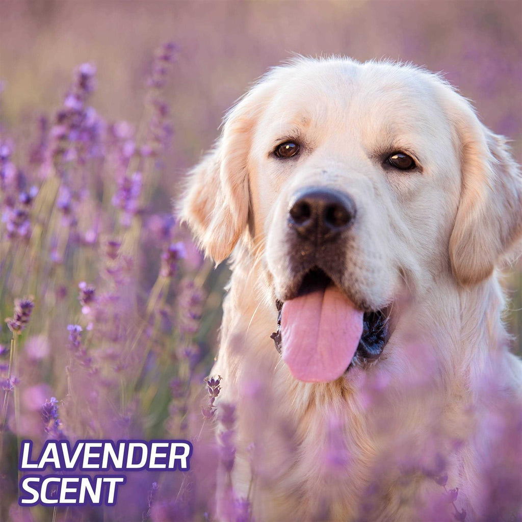 Lavender Scent Odor Eliminating Dog Pads S653