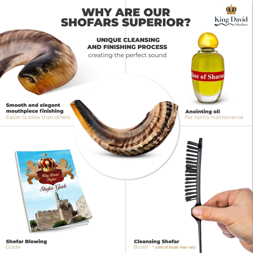 Shofar Horn Instrument Pack of 2 F986361
