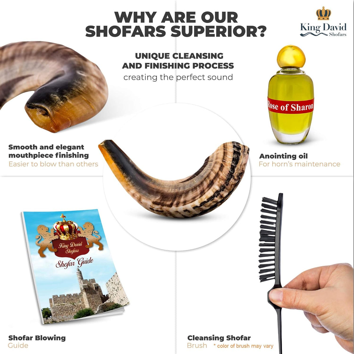 Shofar Horn Instrument Pack of 2 F986361