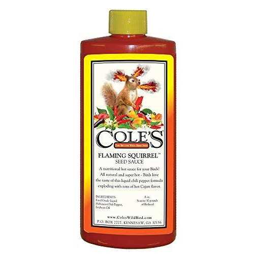 Flaming Squirrel Seed Sauce O845695